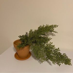 - Trailing lotus decor